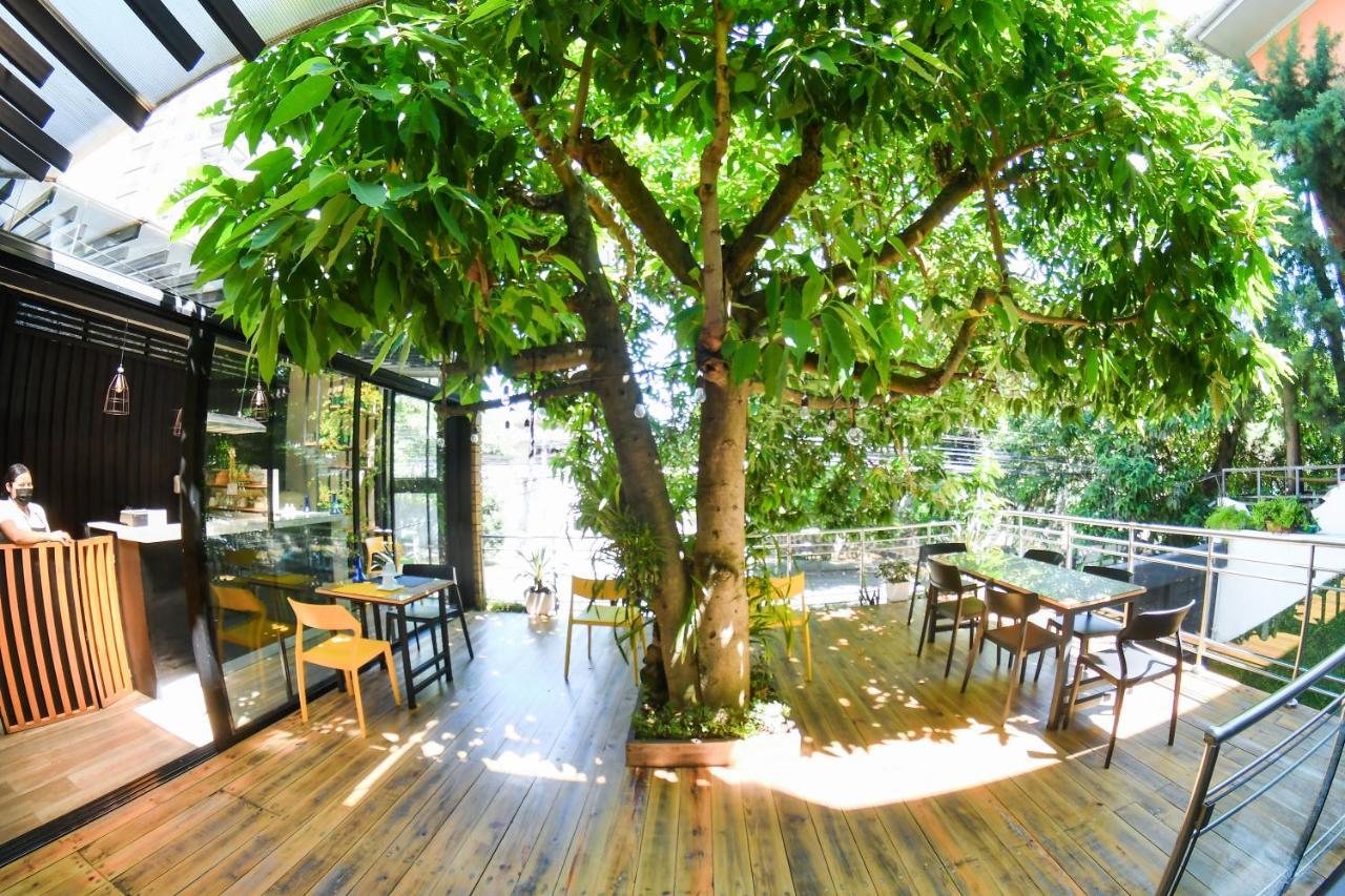 Kaleo Hotel Boutique San Salvador Exteriér fotografie