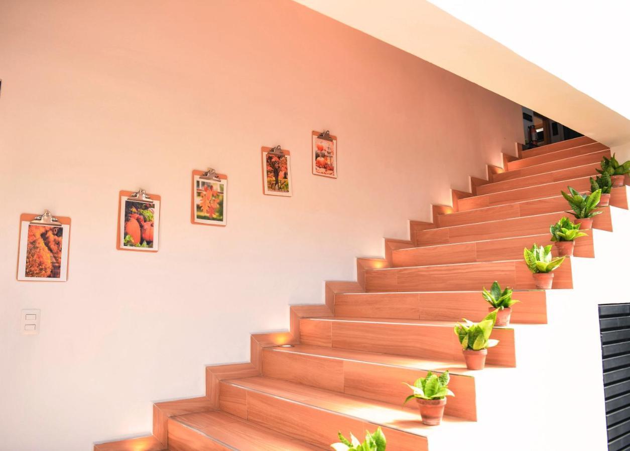 Kaleo Hotel Boutique San Salvador Exteriér fotografie